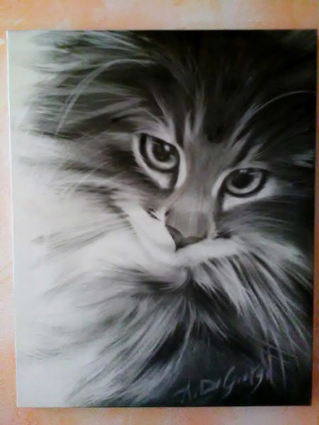 Gatto Norvegese, carboncino su tela,40x50