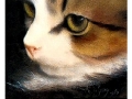 Girly - Carboncino