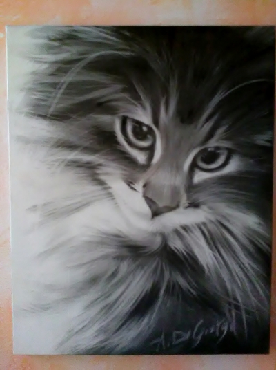 Gatto Norvegese, carboncino su tela 40x50