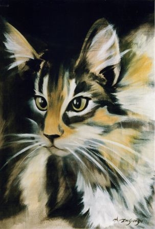 Maine Coon - olio su carta, 50x70