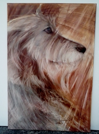 Spinone - carboncino su tela, 50x70