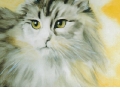 Olio su cartone telato - F.to 50x70