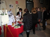 Anna Maria Di Giorgi alla Esposizione Internazionale Felina di Vigevano - 4 e 5 dicembre 2010