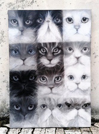Anna Maria Di Giorgi "I dodici gatti",carboncino su tela, 70x100