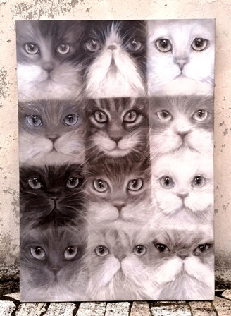 I dodici gatti, carboncino su tela, 70x100